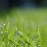 こんにちは。”ひぽぽ”と申します。